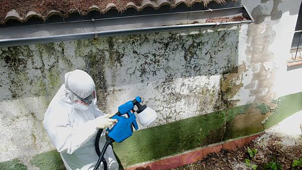Top rated local Attic Mold Remediation specialists in Mapleton Depot, PA